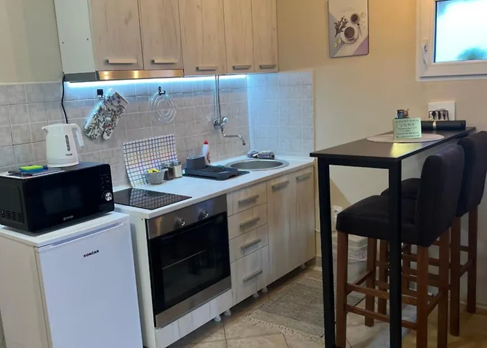 Sladana I Luna 公寓 苏博蒂察