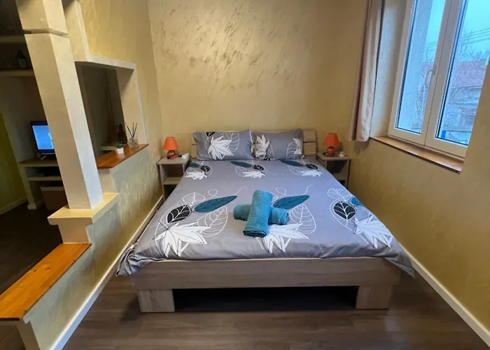 Sladana I Luna 公寓 苏博蒂察